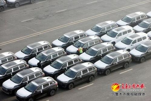 国产综合图片,展现中国风采的视觉盛宴